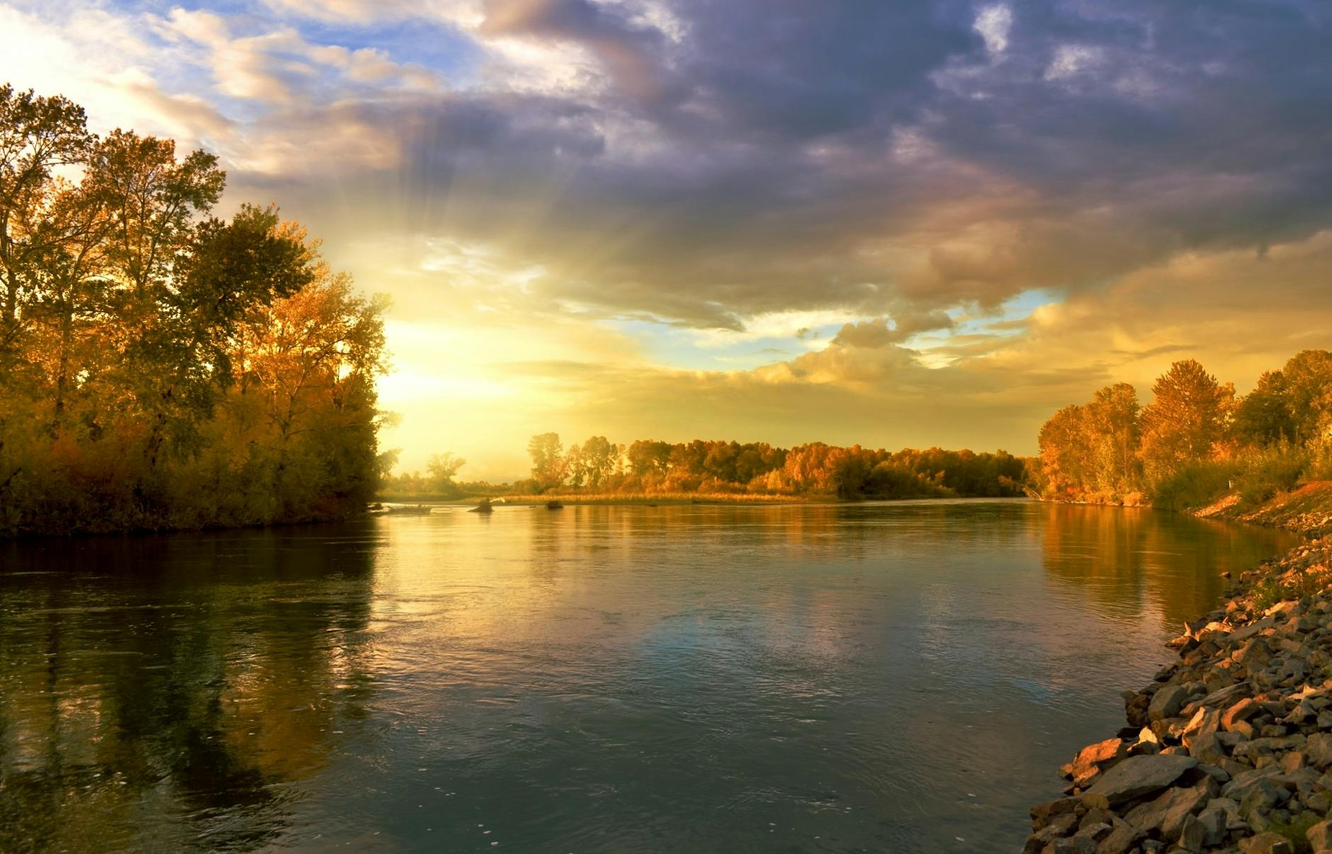 trees near body of water under dark sky during daytime